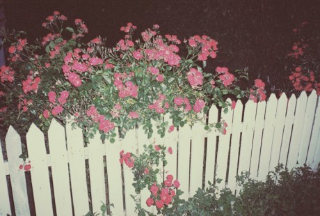 tumblr_m14syg7jM11r2jlu0o1_1280