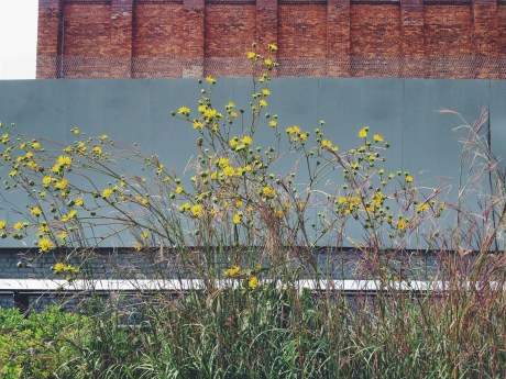 High Line
