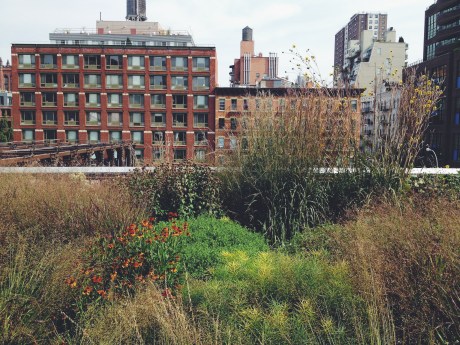 High Line