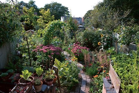 The Edible Garden
