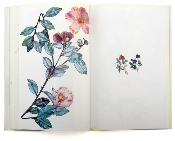 Nick Knight Flora | The Secret Garden