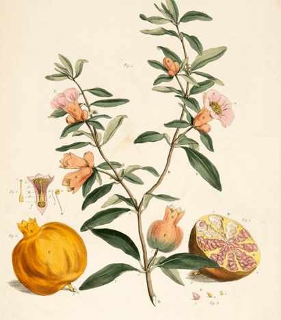 Screen Shot 2016-04-11 at 1.17.07 pm