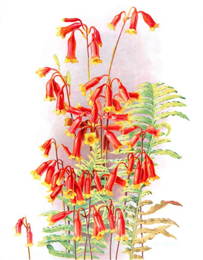 Screen Shot 2016-04-11 at 1.25.39 pm