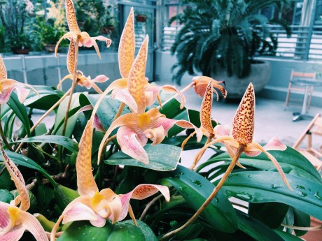 Processed with VSCOcam with c1 preset