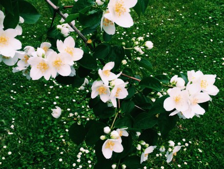 Processed with VSCOcam with c1 preset