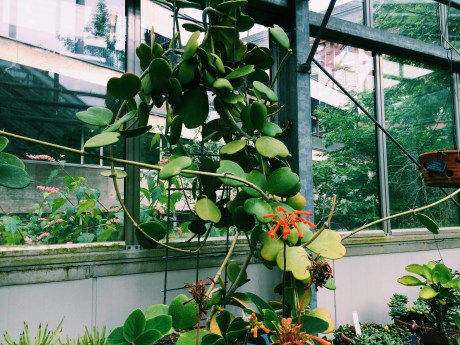 Processed with VSCOcam with c1 preset