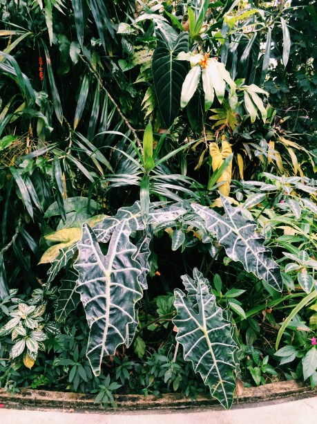 Processed with VSCOcam with c1 preset