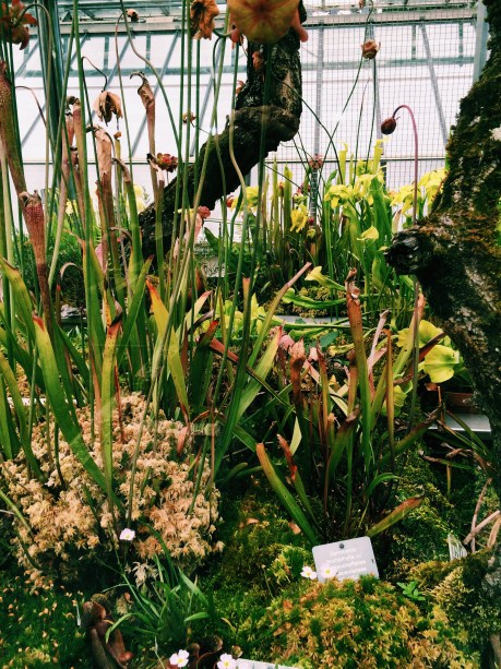 Processed with VSCOcam with c1 preset